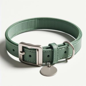 collar acelera verde claro
